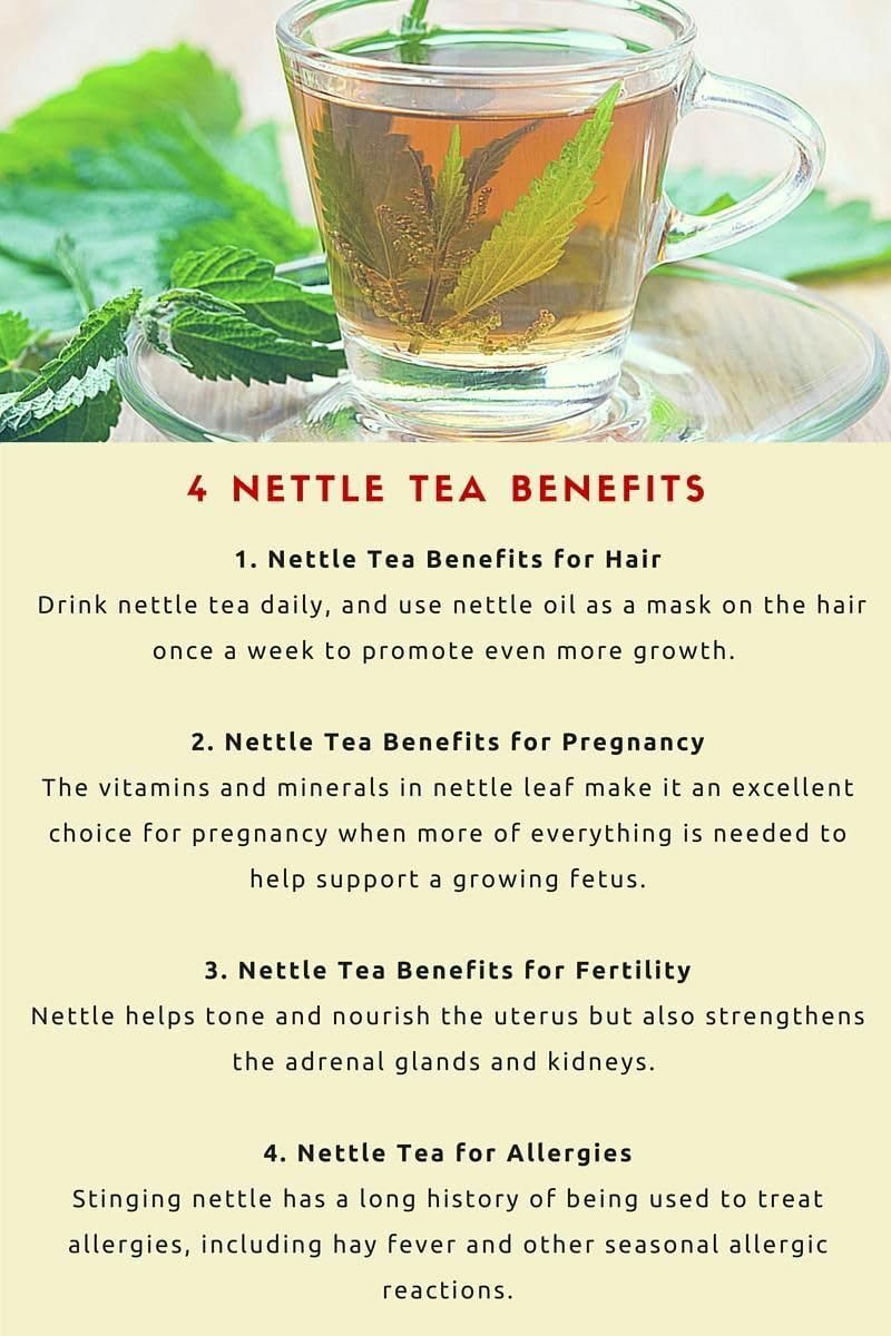 Namo Organics Nettle Leaf Tea - 150g Stinging Health Supporting Herb, Collect From Uttrakhand Belt | Best Herbal Tea