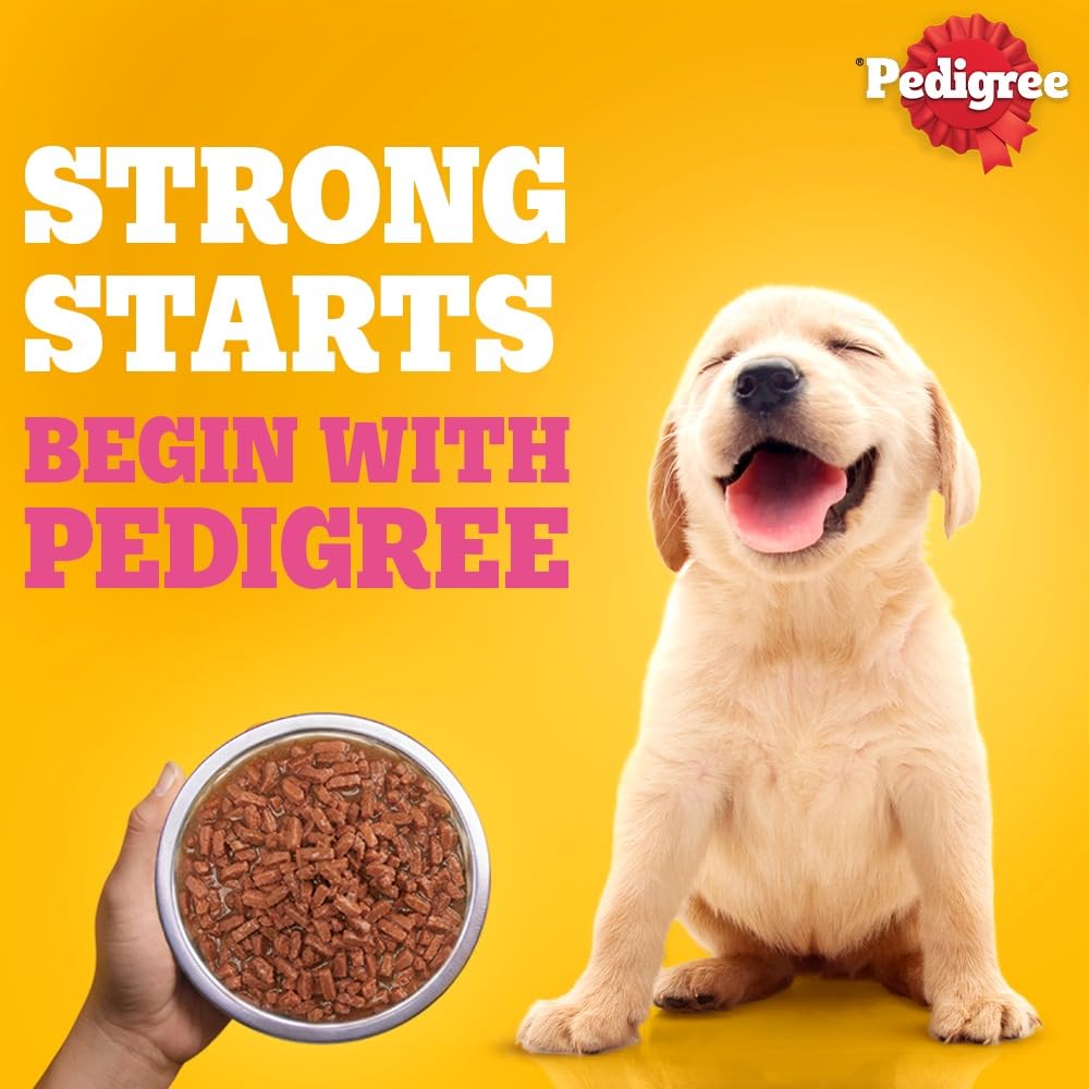 Pedigree Puppy Wet Dog Food, Chicken Chunks in Gravy, 70 g (Pack of 15), Complete & Balanced Meal for Puppies