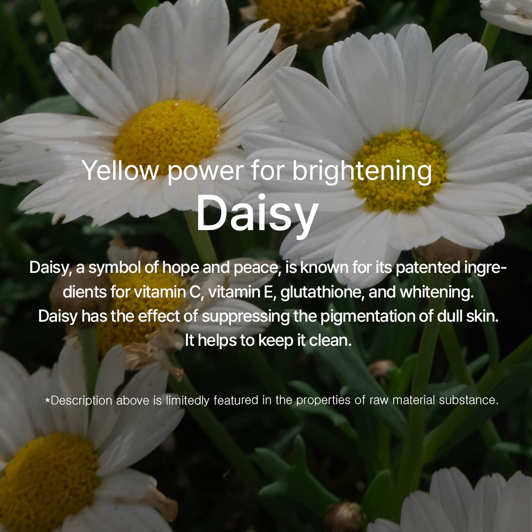 mixsoon Daisy Essence â€“ Brightening and Hydrating Daily Serum 100ml
