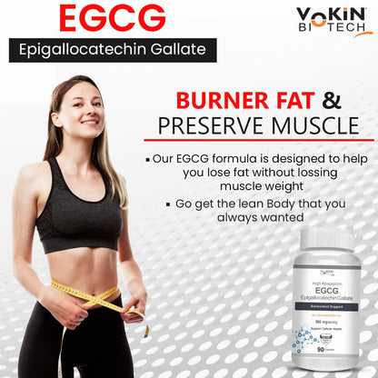 Vokin Biotech EGCG from Green Tea Leaf Extract 500mg EGCG - Antioxidant Support â€“ 90 Capsules