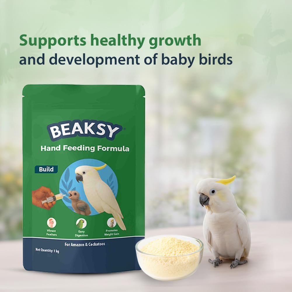 BEAKSY Build Hand Feeding Formula for Baby Birds | for Amazons & Cockatoos | Promotes Weight Gain, Vibrant Feathers & Easy Digestion | Balanced Nutrition (250gm)