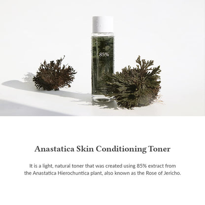Dr. Althea Anastatica Skin Conditioning Toner | Gentle Soothing Toner for Dry & Sensitive Skin | 250ml