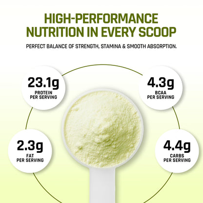 NATURALTEIN Plant Protein | 23g Clean Vegan Protein with BC30 Probiotic | Natural Pista Flavour | Supports Strength, Energy & Gut Health | No Added Sugar, 100% Natural & Easily Digestible