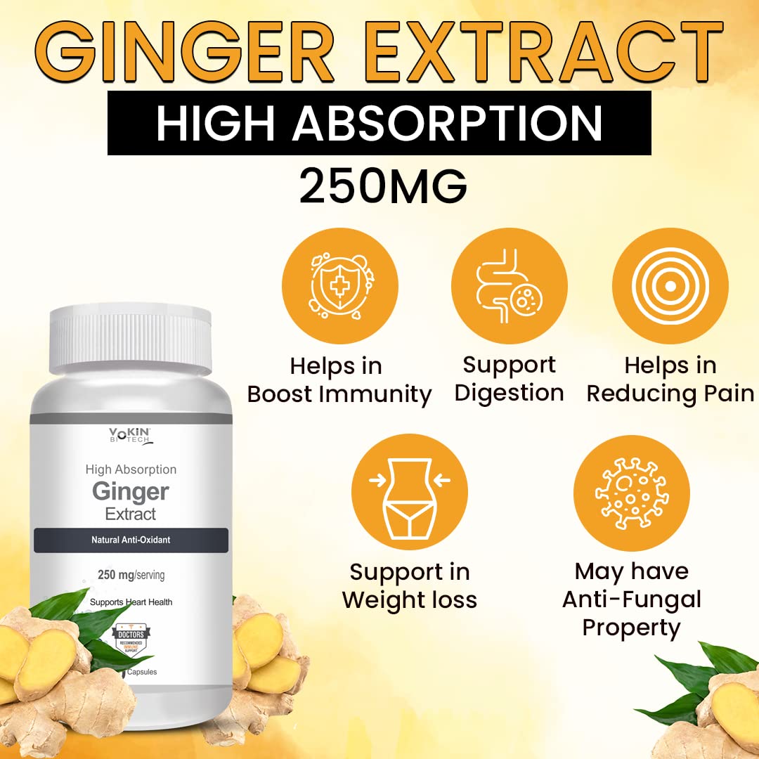 Vokin Biotech Ginger Extract 5% Gingerols Natural Digestion Supplement - Improve Gastrointestinal Health 90 Veg Capsules Pack of 1