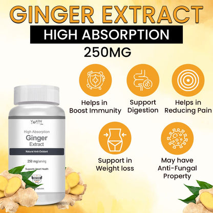 Vokin Biotech Ginger Extract 5% Gingerols Natural Digestion Supplement - Improve Gastrointestinal Health 90 Veg Capsules Pack of 1