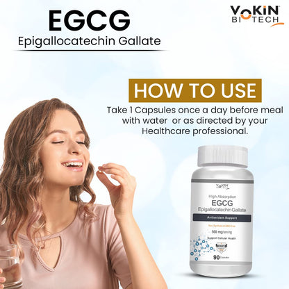 Vokin Biotech EGCG from Green Tea Leaf Extract 500mg EGCG - Antioxidant Support â€“ 90 Capsules