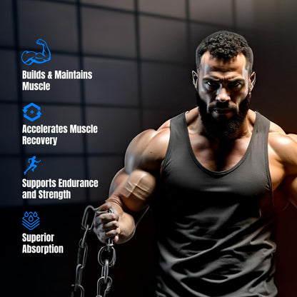 Bigmuscles Nutrition Prime Protein [1kg] | Whey Protein Isolate & Concentrate | With Digestive Enzymes, Probiotic Enzymes | 24g Protein, 10g EAA [Rich Chocolate]