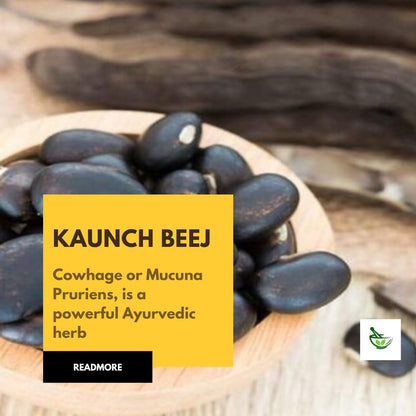 Namo Organics - Black Kaunch Beej Powder 200gm, Konch Seed, Alkushi, Kala Koch ke Beej, Kauch, Mucuna Pruriens, Velvet Beans, Kapikachhu, Cowitch, Cowhage