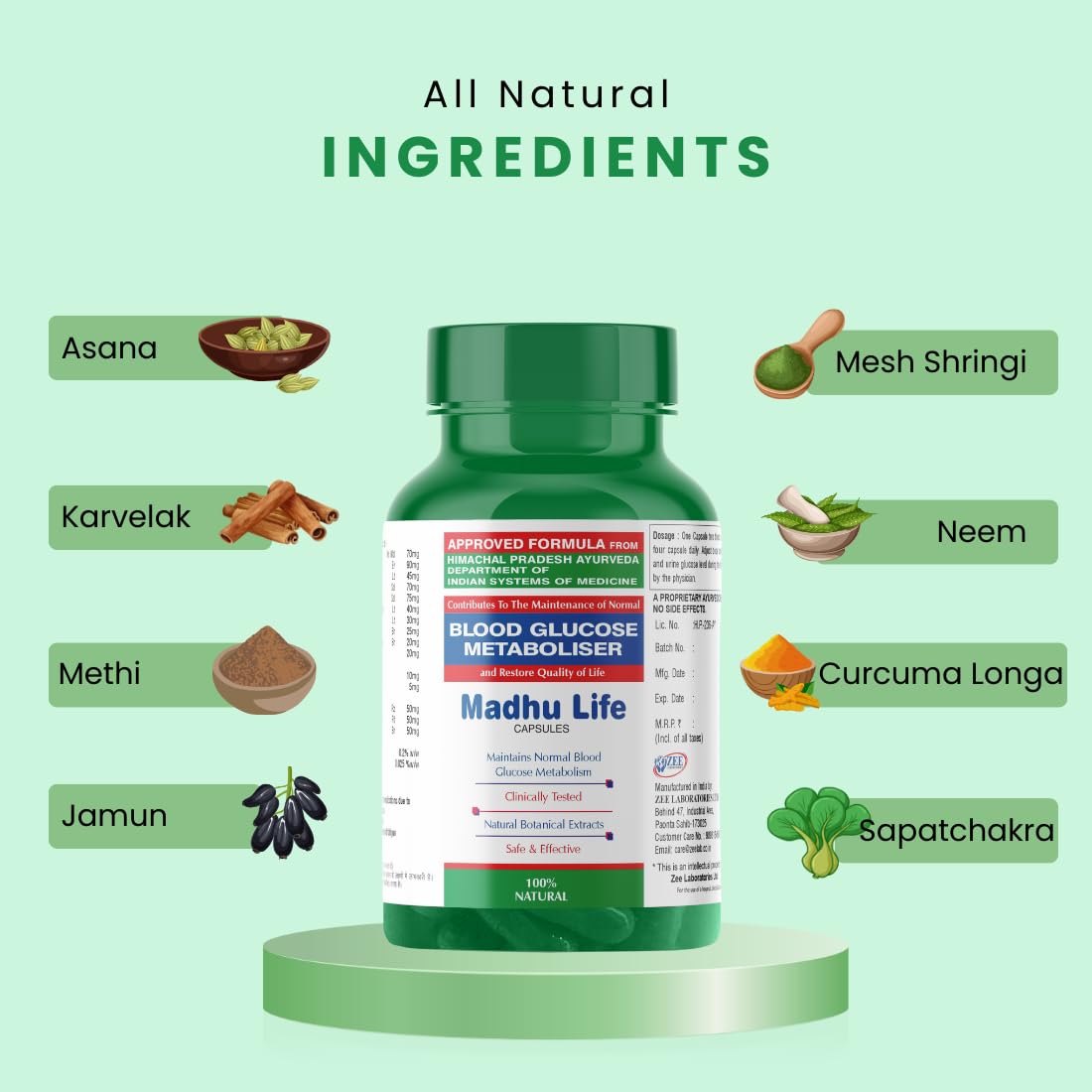 Zeelab Madhu Life Capsules â€“ Ayurvedic Herbal Supplement for Healthy Blood Sugar & Glucose Metabolism â€“ With Jamun, Karela, Methi, Neem, Gymnema, Shilajit & Arjun â€“ 100 Capsules