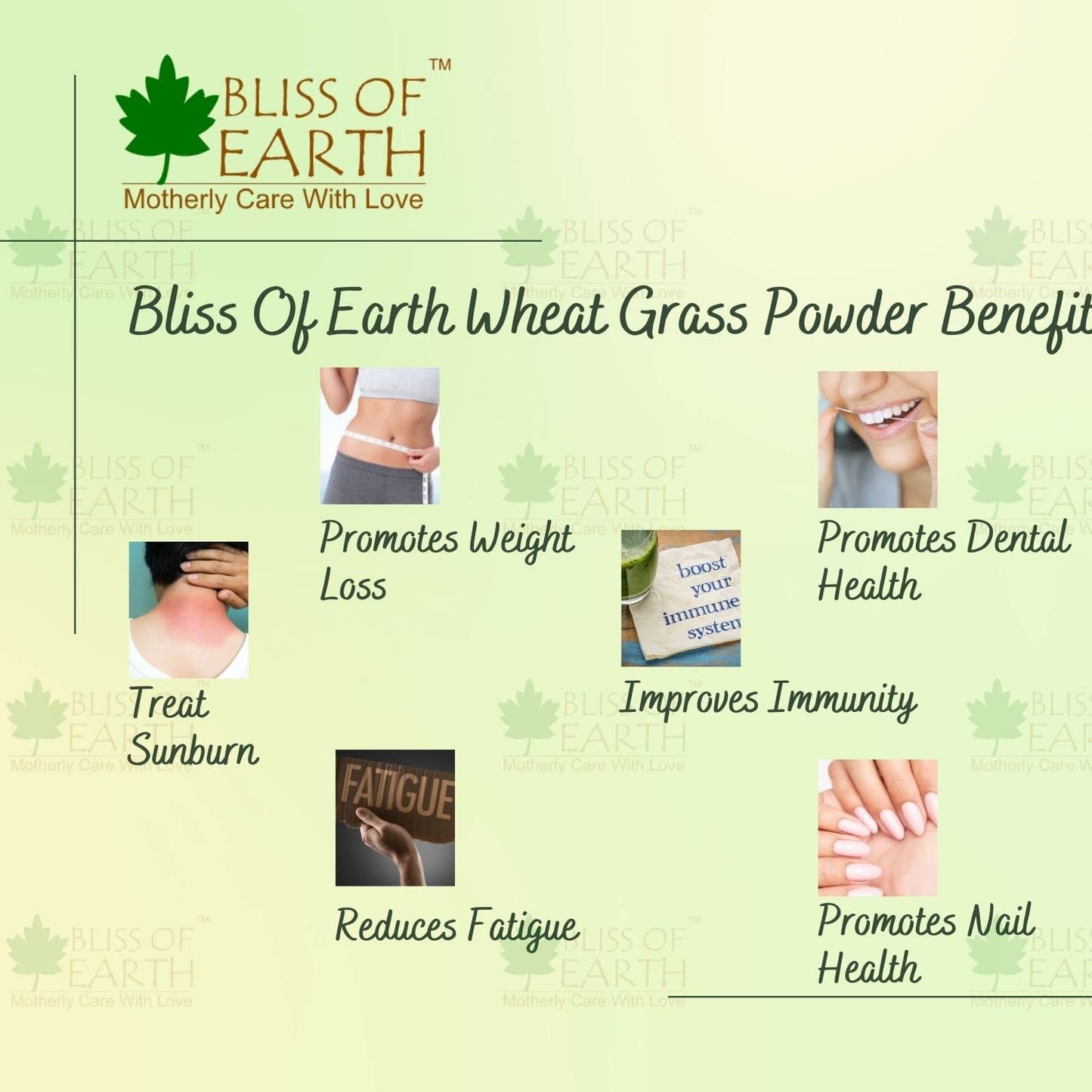 Bliss of Earth Wheatgrass Powder Organic, Super Food Dietary Supplement 250 gm
