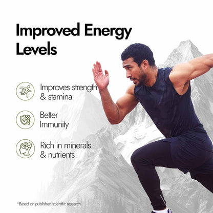 Kapiva Original Himalayan Shilajit Effervescent 20 Tablets (Pack of 2) | Boost Energy, Endurance & Stamina | Pure Shilajeet Energy Drink