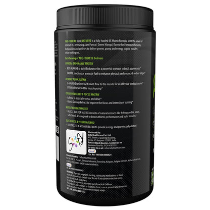 Naturyz Pre - Form X6 Pre Workout Supplement With Highest 19 Nutrients For Extreme Pump,Powder,Endurance,Energy,Focus,Muscle Builder,Vitamins & Electrolytes- 400 grams (Aam Panna Flavour)