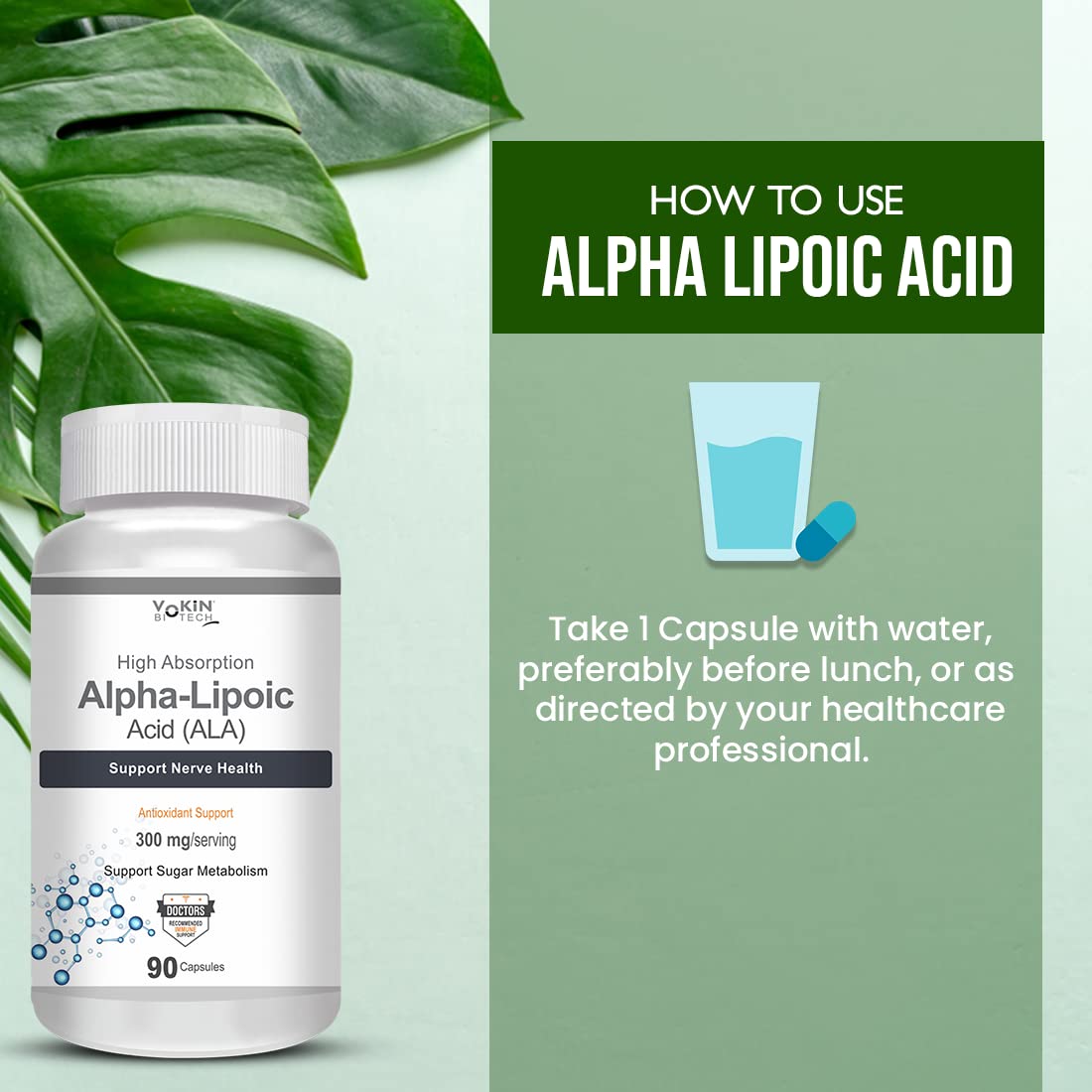 Vokin Biotech Alpha Lipoic Acid (ALA) 300 mg- Support Nerve Health & Sugar Metabolism (90 Capsules))