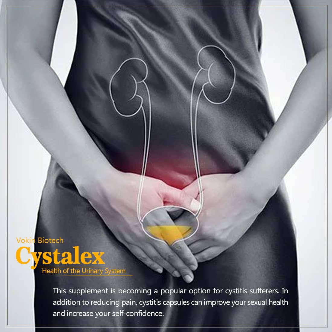 Vokin Biotech Cystalex 60 Capsules With Cranberry 150mg and Arjuna Extract 125mg Improve the Overall Health of the Urinary System