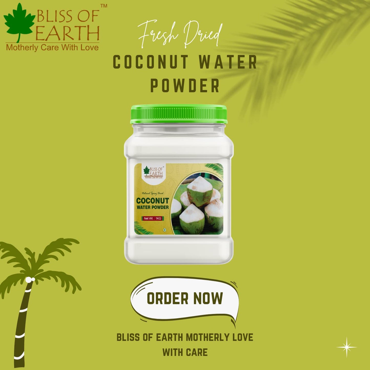 Bliss of Earth 200gm coconut water Powder natural Spray Dried Great for hydration instant mix