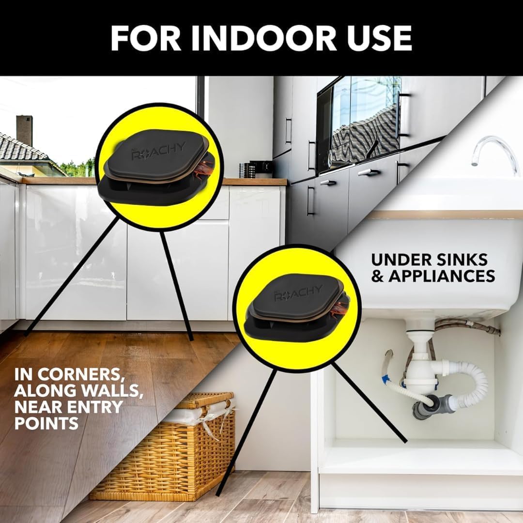 NOROACHY Natural Cockroach Killer for Kitchens, Bathrooms, and Cabinets, for Indoor Cockroach Control, Anti Roach Gel - Cockroach Killer, cockroach repellent, roach repellent for cockroach (6 BAIT)