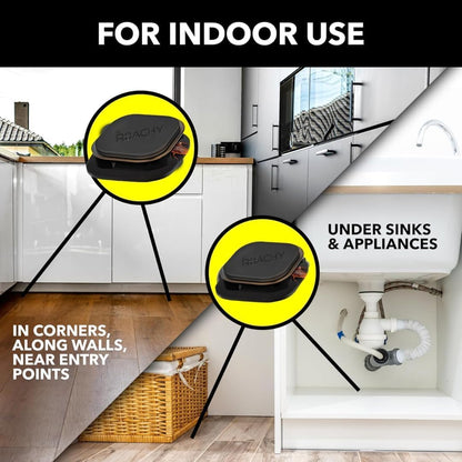 NOROACHY Natural Cockroach Killer for Kitchens, Bathrooms, and Cabinets, for Indoor Cockroach Control, Anti Roach Gel - Cockroach Killer, cockroach repellent, roach repellent for cockroach (6 BAIT)