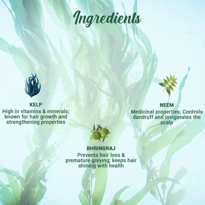 Biotique Ocean Kelp Anti Hairfall Shampoo | Intensive Hair Growth Therapy| Anti Hairfall Shampoo that Maintains Shine |100% Botanical Extracts | Suitable for All Hair Types |190ml