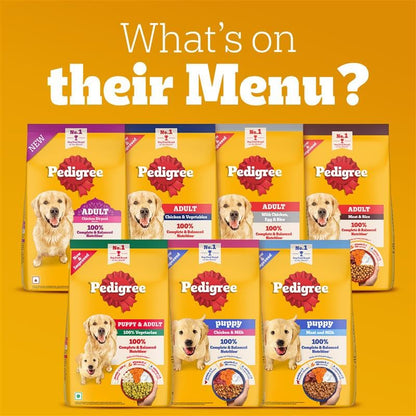 Pedigree Adult Dry Dog Food, Chicken & Vegetables, 1 kg, Contains 37 Essential Nutrients, 100% Complete & Balanced Food for Adult Dogs