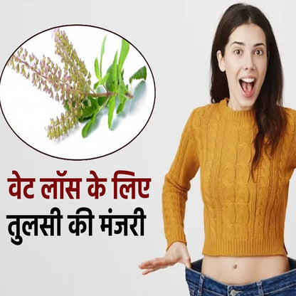 Namoorgaincs- Tulsi Seeds For eating - 150g - Manjari beej For Weightloss - Shyama Tulsi (Edible) - Krishna Basil Seeds