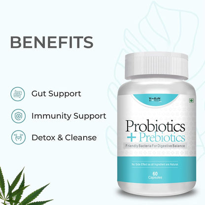 Vokin Biotech Probiotics+ Prebiotics Supplement 50 Billion Cfu For Women & Men With Prebiotics 150 mg | Probiotic Capsules For Digestion Support, Gut Health And Immunity â€“ 60 Veg Capsules