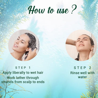 Biotique Ocean Kelp Anti Hairfall Shampoo | Intensive Hair Growth Therapy| Anti Hairfall Shampoo that Maintains Shine |100% Botanical Extracts | Suitable for All Hair Types |190ml