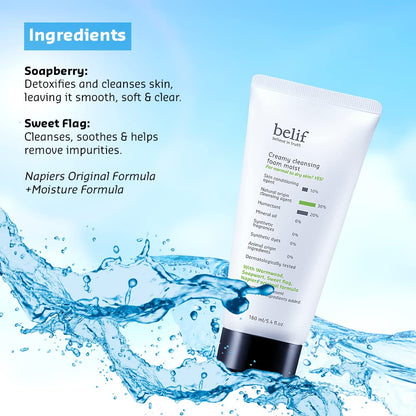 Belif Creamy Cleansing Foam 160ml