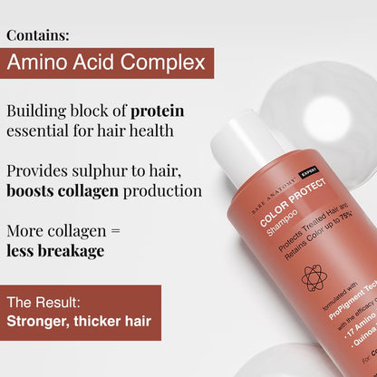 Bare Anatomy Hair Colour Protect Shampoo, Retains Colour Upto 8 Weeks, Repairs Damage With Amino Acid & Quinoa Protein For Dry & Frizzy Coloured Hair For Unisex, 250ml