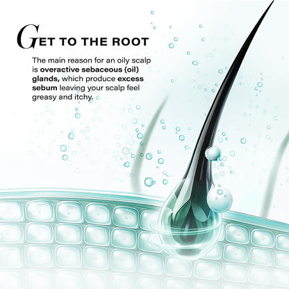 Novology Sebosys Control Scalp Serum for 48hrs Oil Control with 1% Capryloyl, Salicylic Acid, Niacinamide| Targets greasy hair and itchy scalp | 50ml