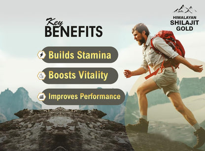 Himalayan Shilajit Gold Fizz 15 Effervescent Tablets (Orange Flavour, 500mg, Pack of 1) | With Ashwagandha, Gokshura & Safed Musli for Strength