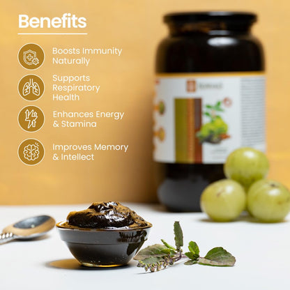 KRISHNA'S HERBAL & AYURVEDA Chyawanprash â€“ Preservative-Free, Boosts Stamina, Immunity and Strength for Kids & Adults, Made with Traditional Ayurvedic Process, 500g (Pack of 1)