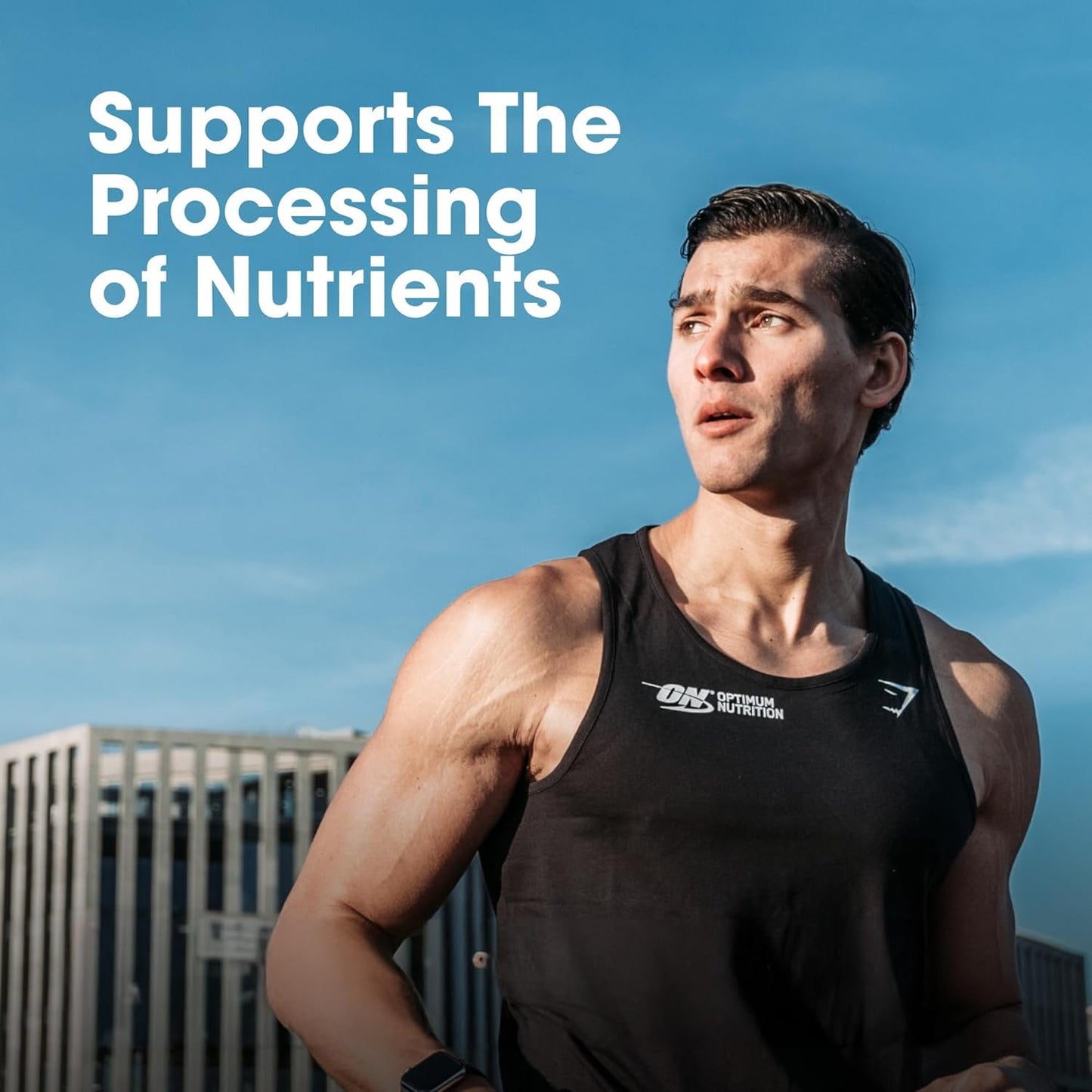 Optimum Nutrition (ON) Multivitamin for MENâ€“ 60 Tablets, 26 Vitamins & Minerals, Amino Acids & Anti-Oxidants (Green Tea Extract, Beta Carotene, Lutein, Lycopene). Vegetarian.