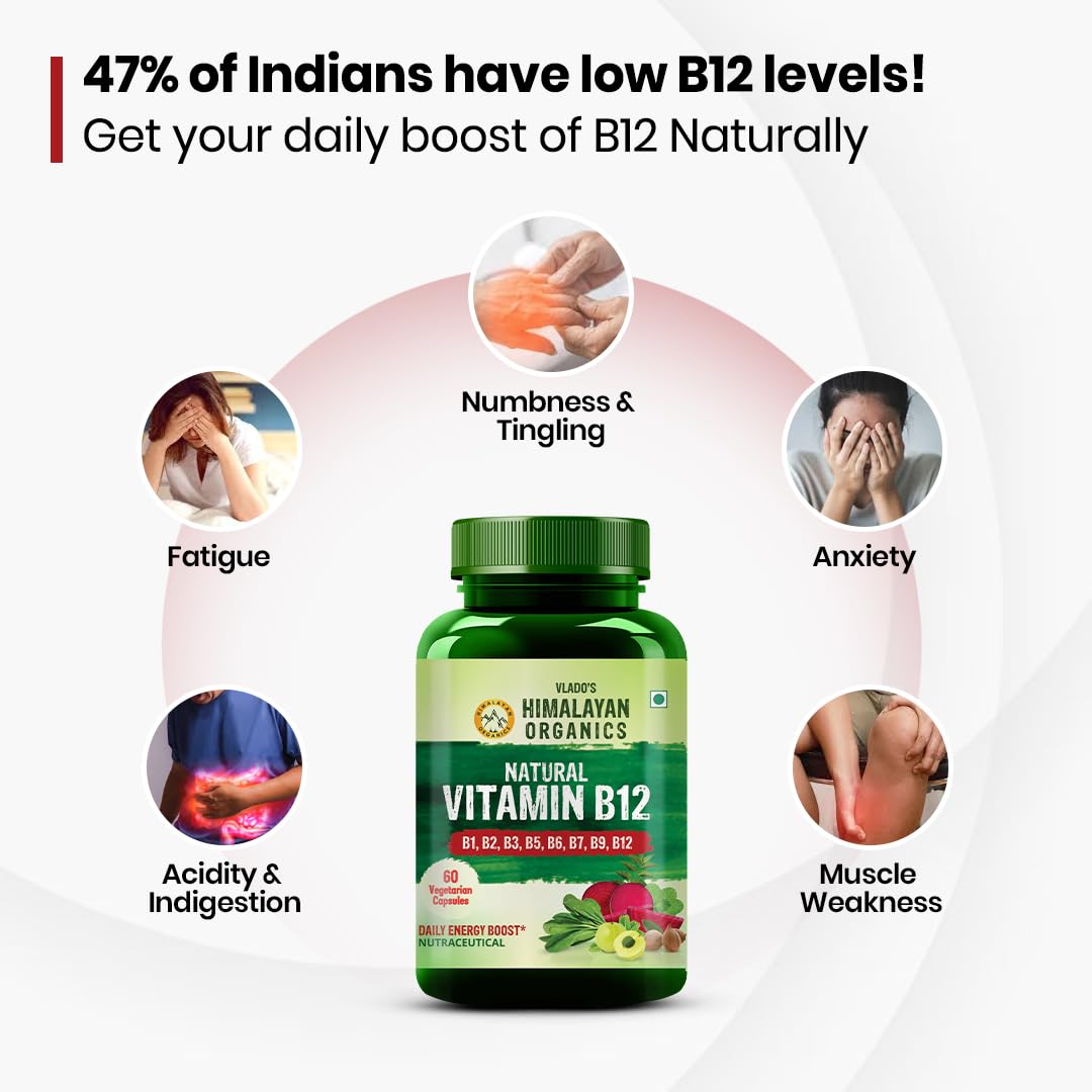 Vladoâ€™s Himalayan Organics Plant-Based Vitamin B12 with B-Complex & Moringa | Energy, Nerve & Brain Support | 60 Veg Capsules