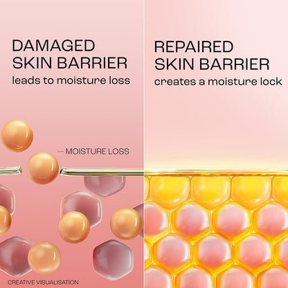 LakmÃ© Peach Milk Creme Moisturizer with 2% Pro-Ceramide & Peptides | Repairs Damaged Skin Barrier & Gives Intense Hydration | For Dry, Normal & Sensitive 300g