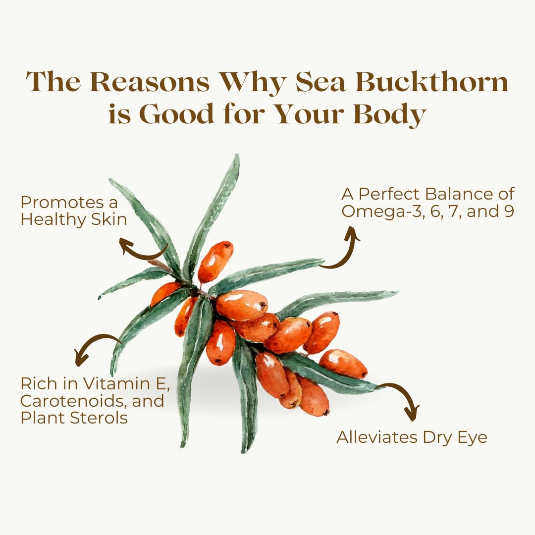 Himalayan Sea buckthorn Dry Berry 200gm – Natural, Sun-Dried, Rich in Omega 3,6,7 and 9, & Vitamin C, E | Dried Seabuckthorn Berries | No Added Sugar or Preservatives (200 Gm)
