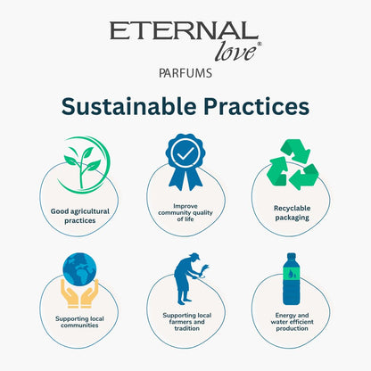 Eternal Love â€“ XLouis Eau De Parfum Men | Long-Lasting | Bright & Uplifting Start | Travel-Friendly Grooming Essential | Citrus & Woody Fragrance | All-Day Freshness | 100ml