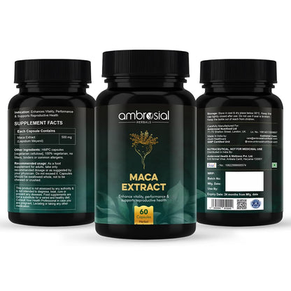 Ambrosial Maca Root Capsules for Men & Women | High Strength 500 mg Maca Root Powder EACH Capsule | Supports Building Stamina & Energy (Pack of 1-60 Capsules)
