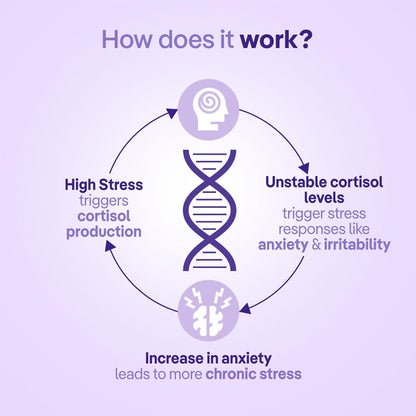 three60 STRESS RELIEF Gummies |Reduces Stress & Cortisol Levels |Helps in Anxiety Relief & Calms Mind |KSM-66Â® Ashwagandha, Safrâ€™InsideTM (Saffron), Lavender|Non-Habit Forming|30 Stress Relief Gummies