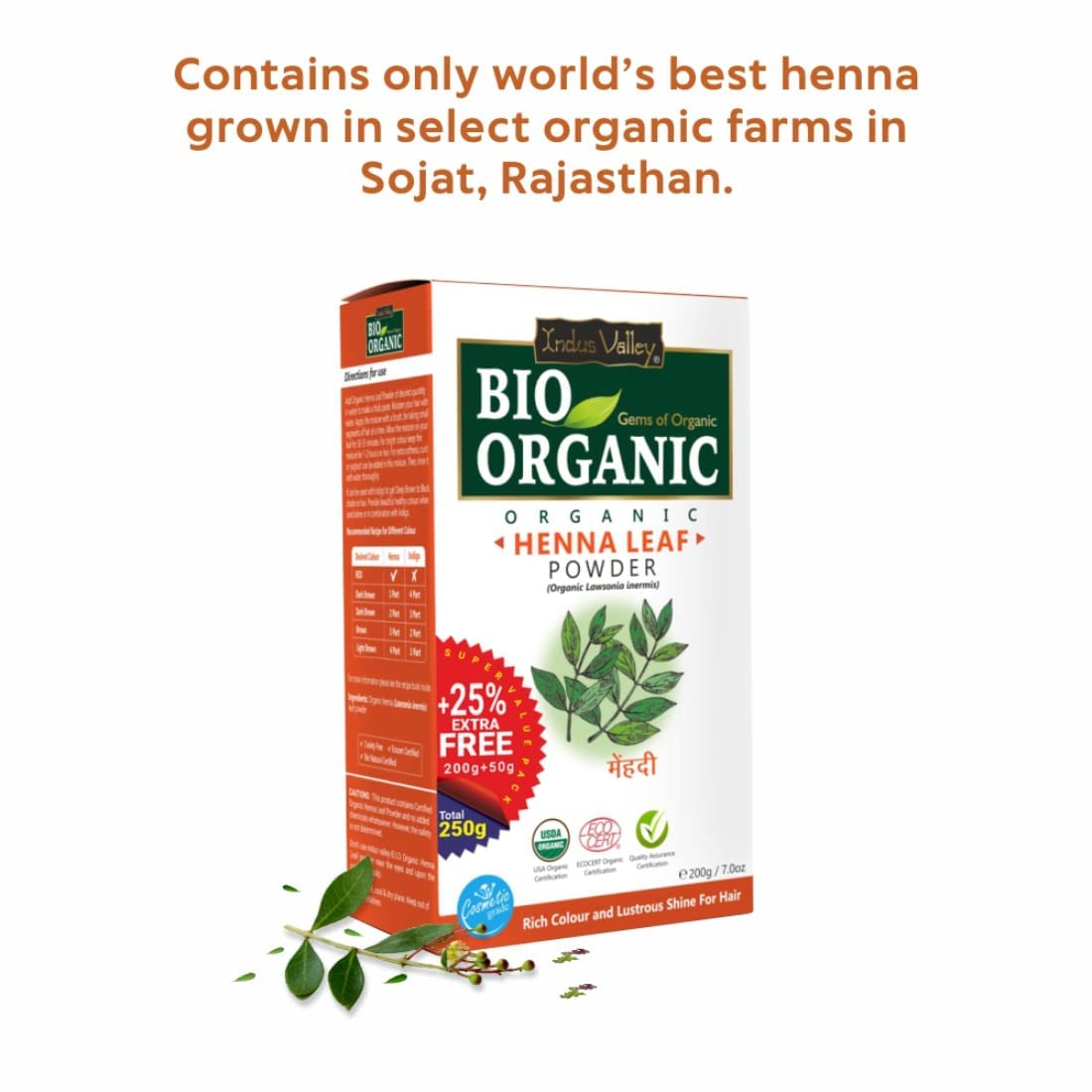 INDUS VALLEY Bio Organic 100% Organic Temporary Dark Brown Red Tattoos and Henna Natural Red Henna Leaf Powder For Hairs (250g)