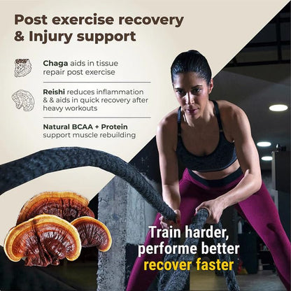 Cureveda Pro-Build Plant Protein Powder | 27g Vegan Protein + 6 Mushrooms | 5.1g BCAA & Digestive Enzymes | Cordyceps, Lionâ€™s Mane, Reishi, Chaga, Shiitake, Turkey Tail | Chocolate | 500g