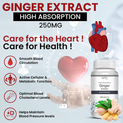 Vokin Biotech Ginger Extract 5% Gingerols Natural Digestion Supplement - Improve Gastrointestinal Health 90 Veg Capsules Pack of 1