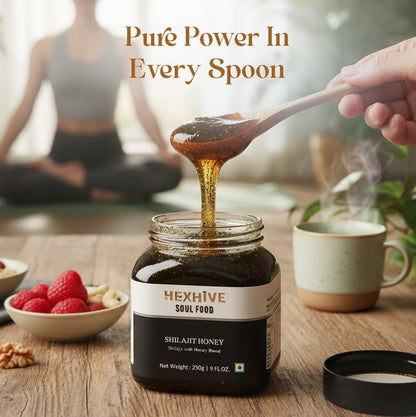 Hexhive Shilajit Honey | Raw Forest Honey | Himalayan Multifloral Honey Infused with Shilajit Extract | Energy & Vitality Boost | Immunity & Mental Clarity Support | No Added Sugar | 250g