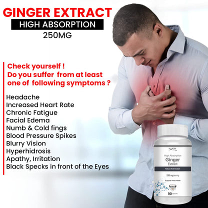 Vokin Biotech Ginger Extract 5% Gingerols Natural Digestion Supplement - Improve Gastrointestinal Health 90 Veg Capsules Pack of 1