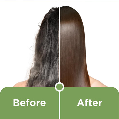 Himalaya Natural Shine Henna, 120G