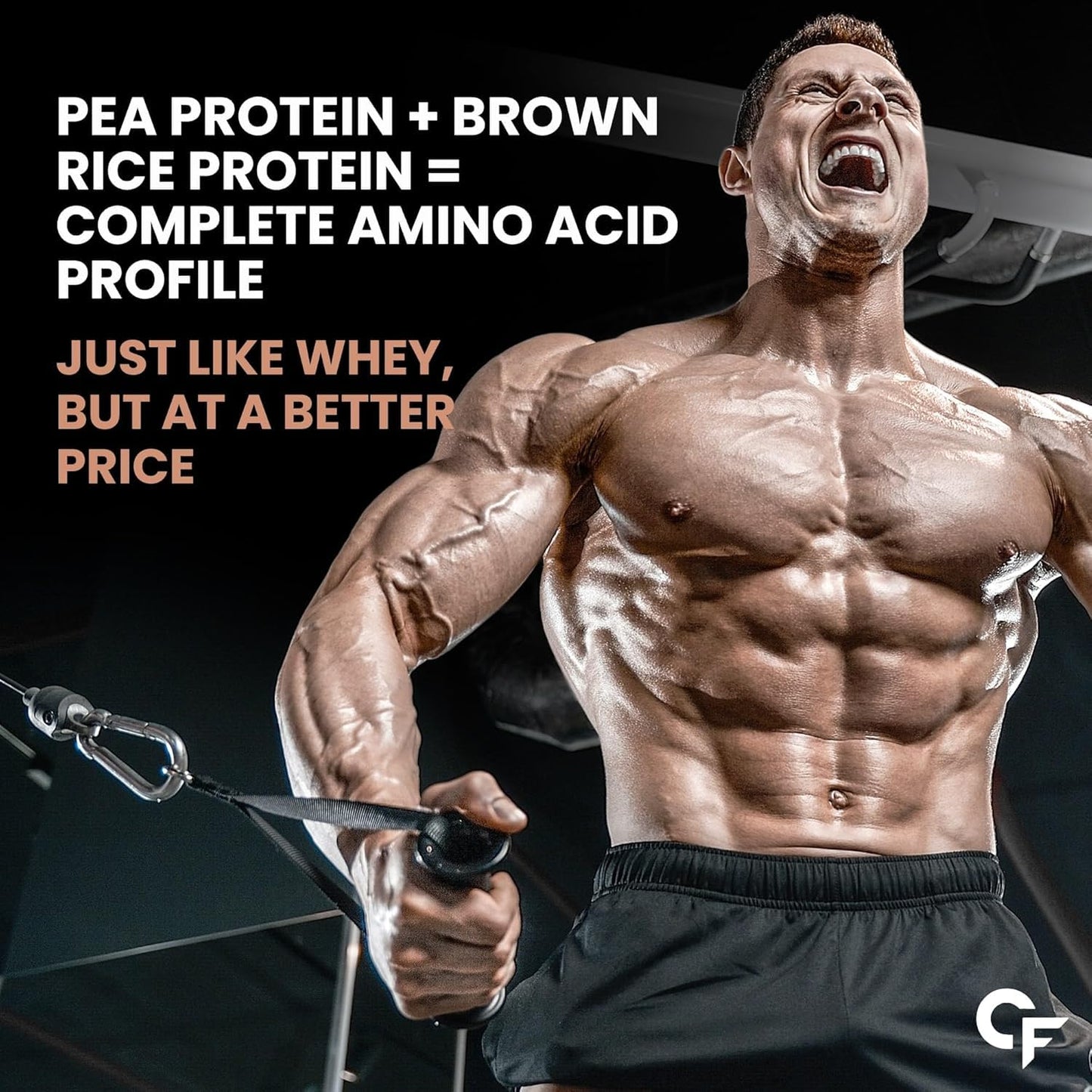 Carbamide Forte Plant Protein Powder For Men - Plant Based Protein Powder with Multivitamin, Minerals, Superfoods, Pea Protein, Digestive Enzymes - Belgian Chocolate Flavour - 1kg