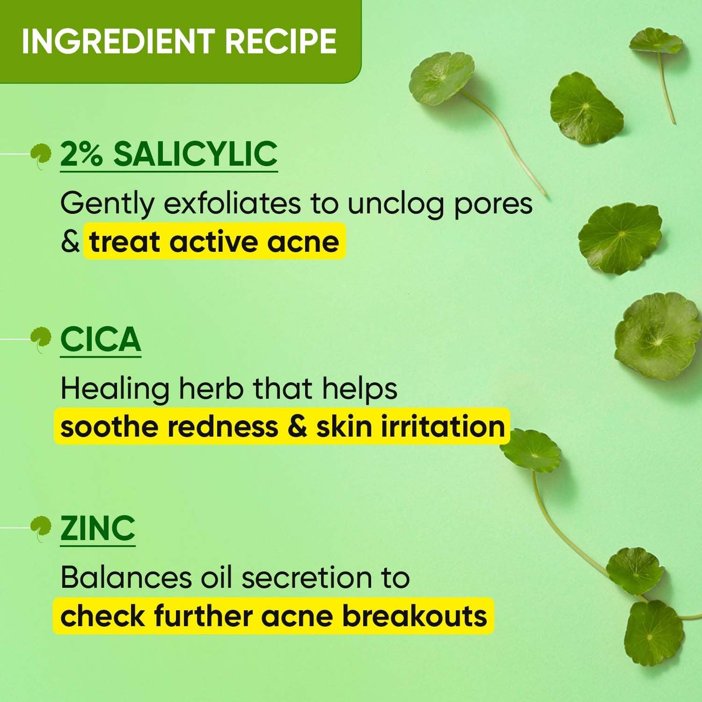 Dot & Key 2% Salicylic Acid + Cica Anti Acne Serum with Zinc | Salicylic Acid Serum for Acne and Dark Spots | Serum for Oily Acne Prone Skin & Sensitive Skin | Oil-Free & Non Comedogenic | 20 ml