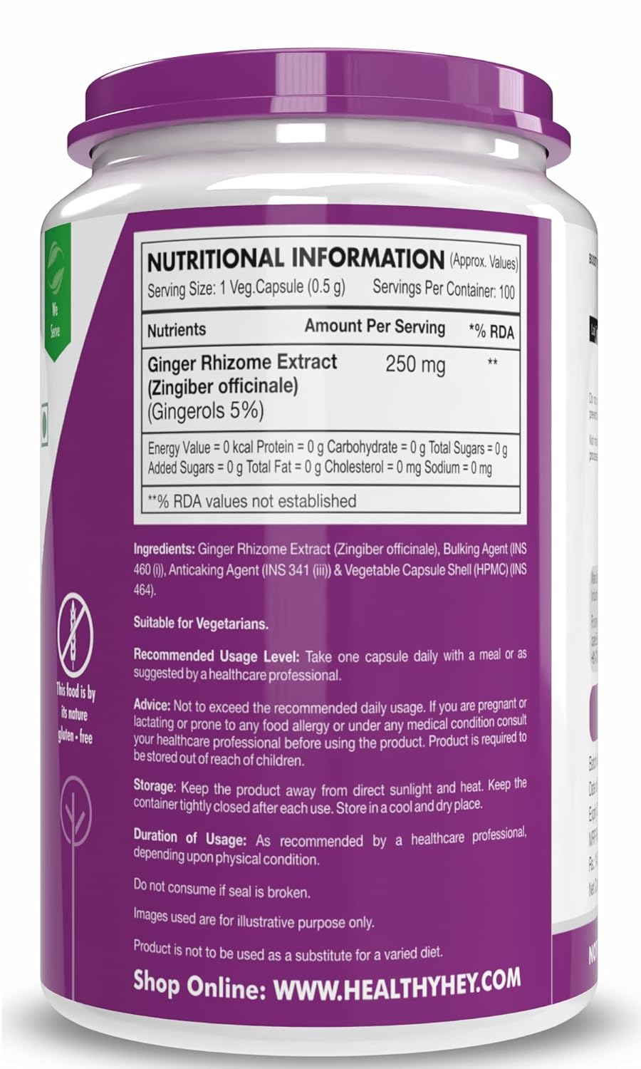 HealthyHey Nutrition Ginger Extract 5% Gingerols -100 Veg Capsules
