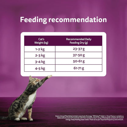 Whiskas Adult (1+ Years) Dry Cat Food, Ocean Fish Flavour, 480 g, Contains 41 Essential Nutrients, Complete & Balanced Nutrition for Adult Cats