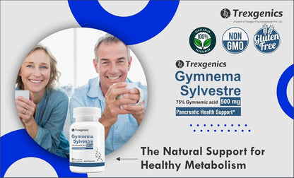 Trexgenics GYMNEMA (Bioactive 75% gymnemic acids) 500mg Sylvestre Glycemic/Sugar, Pancreatic Health Support (60 Vcaps) (1)