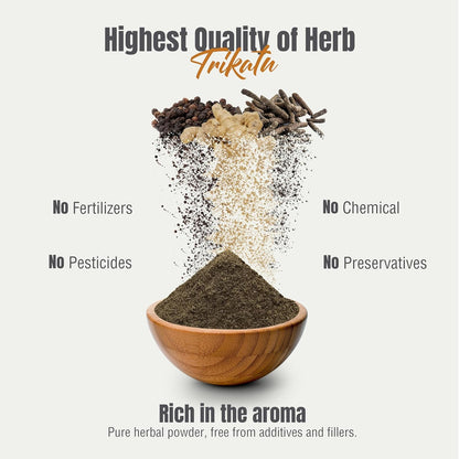 Namo Organic Trikatu Churna Powder - 100g - Dr Recommended Magical Blend of pipali, Black pepper, Sonth For Digetion | Respiratory Health | Stong Immunity